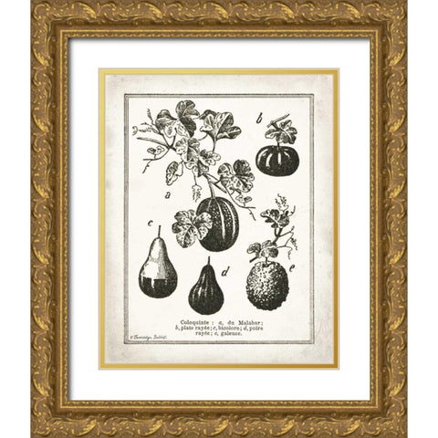 French Gourds Gold Ornate Wood Framed Art Print with Double Matting by Babbitt, Gwendolyn