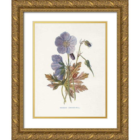 Meadow Cranes-Bill Gold Ornate Wood Framed Art Print with Double Matting by Babbitt, Gwendolyn