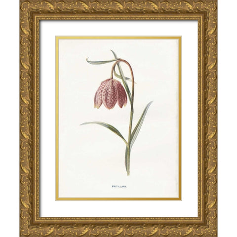 Fritillary Gold Ornate Wood Framed Art Print with Double Matting by Babbitt, Gwendolyn