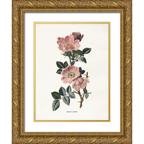 Sweet Briar Gold Ornate Wood Framed Art Print with Double Matting by Babbitt, Gwendolyn