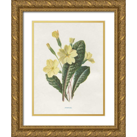 Primrose Gold Ornate Wood Framed Art Print with Double Matting by Babbitt, Gwendolyn