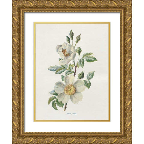 Field Rose Gold Ornate Wood Framed Art Print with Double Matting by Babbitt, Gwendolyn