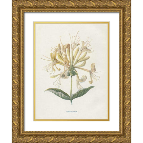 Honeysuckle Gold Ornate Wood Framed Art Print with Double Matting by Babbitt, Gwendolyn