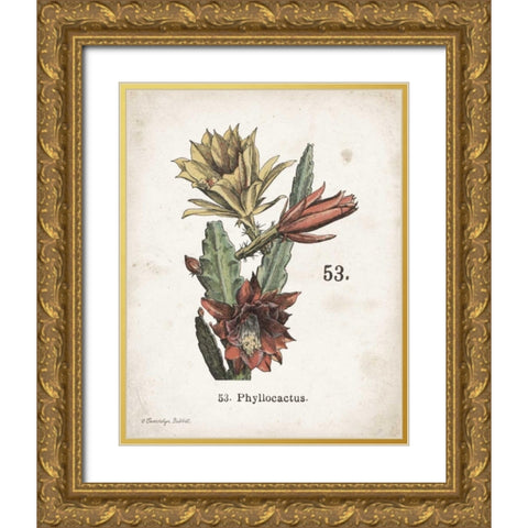 Cacti I Gold Ornate Wood Framed Art Print with Double Matting by Babbitt, Gwendolyn