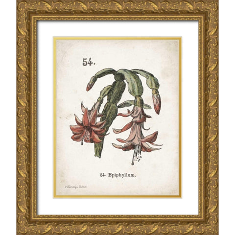 Cacti II Gold Ornate Wood Framed Art Print with Double Matting by Babbitt, Gwendolyn