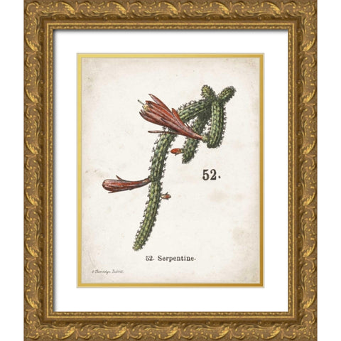 Cacti III Gold Ornate Wood Framed Art Print with Double Matting by Babbitt, Gwendolyn