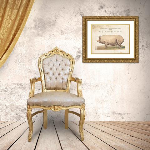 Anatomical Model Pig Gold Ornate Wood Framed Art Print with Double Matting by Babbitt, Gwendolyn