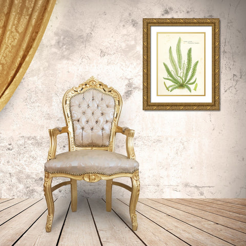 Fern I Gold Ornate Wood Framed Art Print with Double Matting by Babbitt, Gwendolyn