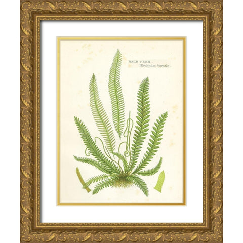 Fern I Gold Ornate Wood Framed Art Print with Double Matting by Babbitt, Gwendolyn