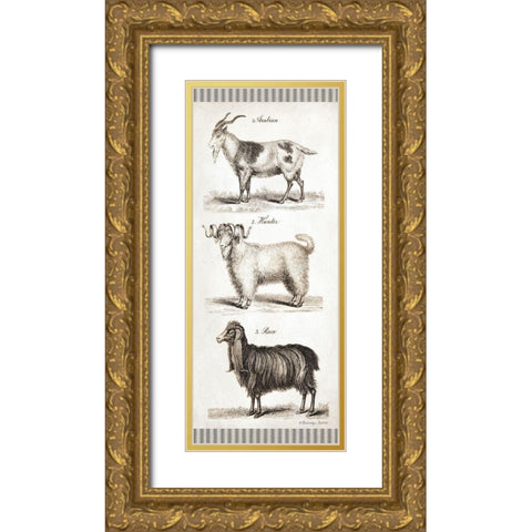 Goats Gold Ornate Wood Framed Art Print with Double Matting by Babbitt, Gwendolyn