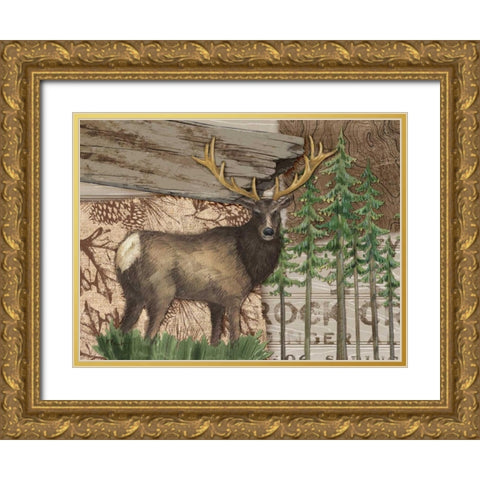Alpine Collage II Gold Ornate Wood Framed Art Print with Double Matting by Brent, Paul