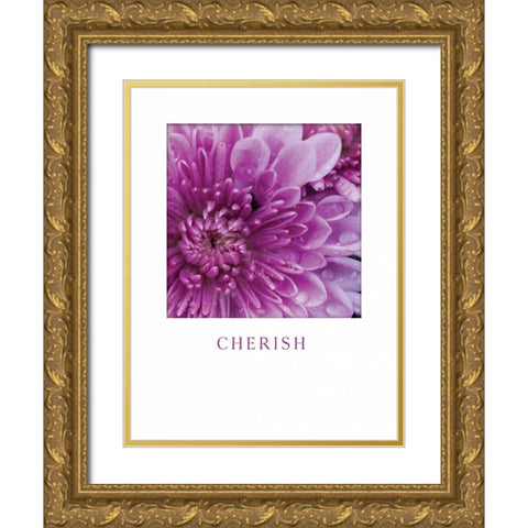Cherish Gold Ornate Wood Framed Art Print with Double Matting by Berzel, Erin