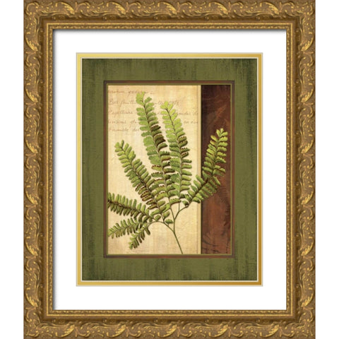Fern Grotto II Gold Ornate Wood Framed Art Print with Double Matting by Corbin, Delphine