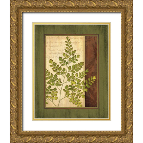 Fern Grotto IV Gold Ornate Wood Framed Art Print with Double Matting by Corbin, Delphine