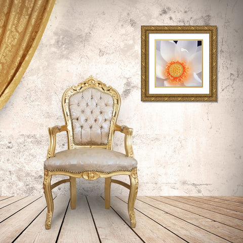 Lotus I Gold Ornate Wood Framed Art Print with Double Matting by Christensen, Jim