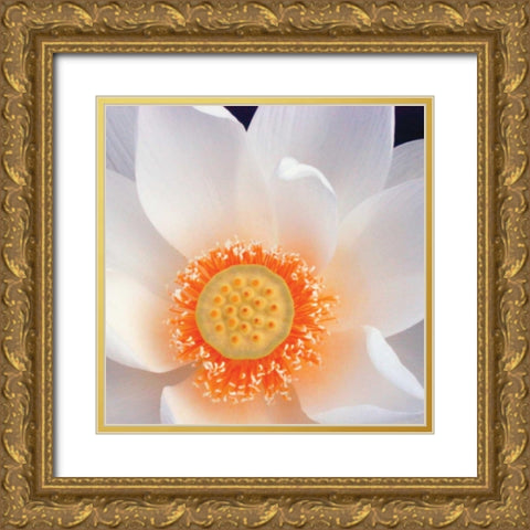 Lotus I Gold Ornate Wood Framed Art Print with Double Matting by Christensen, Jim
