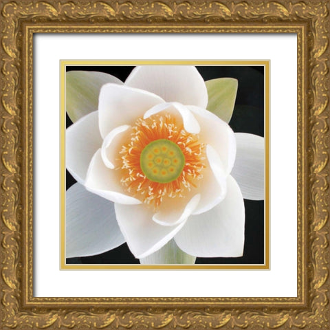 Lotus II Gold Ornate Wood Framed Art Print with Double Matting by Christensen, Jim