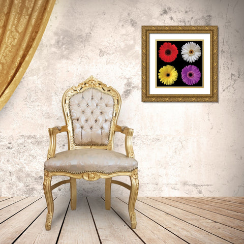Gerbera Group II Gold Ornate Wood Framed Art Print with Double Matting by Christensen, Jim