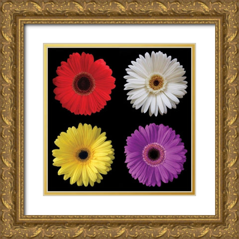 Gerbera Group II Gold Ornate Wood Framed Art Print with Double Matting by Christensen, Jim