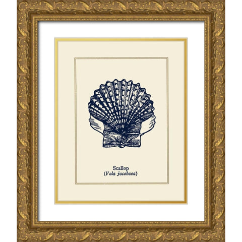 Scallop Shell Gold Ornate Wood Framed Art Print with Double Matting by Gorham, Gregory