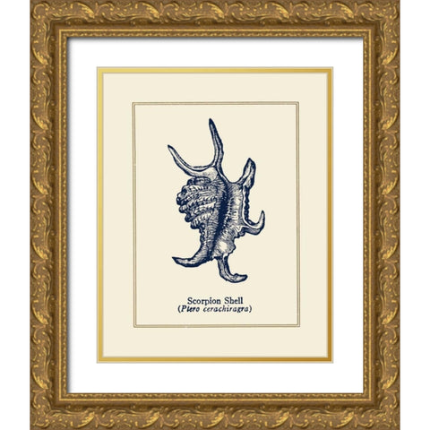 Scorpion Shell Gold Ornate Wood Framed Art Print with Double Matting by Gorham, Gregory