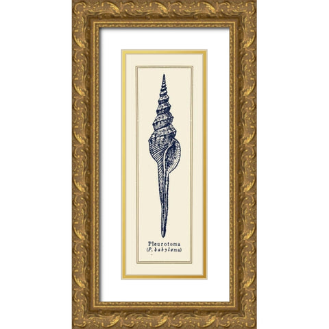 Pleurotoma Shell II Gold Ornate Wood Framed Art Print with Double Matting by Gorham, Gregory