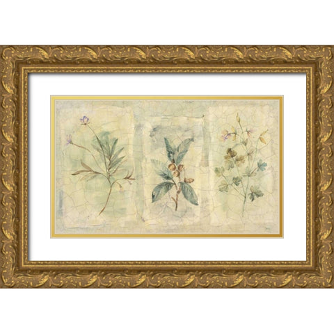 Crackle Sprigs I Gold Ornate Wood Framed Art Print with Double Matting by Hargittai, Paul