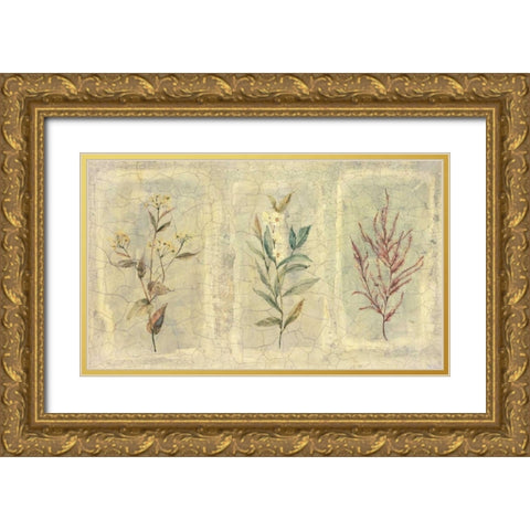 Crackle Sprigs II Gold Ornate Wood Framed Art Print with Double Matting by Hargittai, Paul