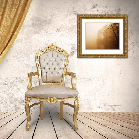 Fog on Shelly Lake I Gold Ornate Wood Framed Art Print with Double Matting by Hausenflock, Alan