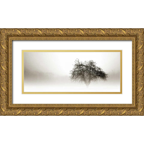 In the Mist I Gold Ornate Wood Framed Art Print with Double Matting by Hausenflock, Alan