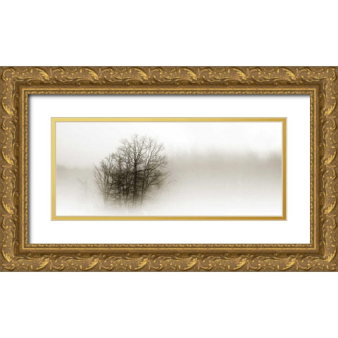 In the Mist II Gold Ornate Wood Framed Art Print with Double Matting by Hausenflock, Alan