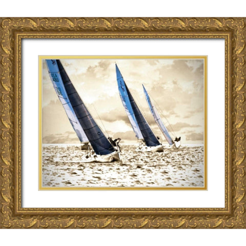 Racing Waters II Gold Ornate Wood Framed Art Print with Double Matting by Hausenflock, Alan