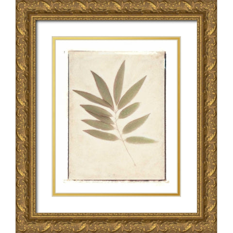 Bay Leaves Gold Ornate Wood Framed Art Print with Double Matting by Melious, Amy