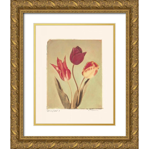 Spring Color I Gold Ornate Wood Framed Art Print with Double Matting by Melious, Amy