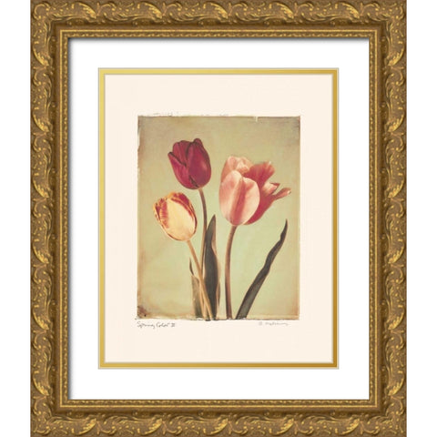 Spring Color II Gold Ornate Wood Framed Art Print with Double Matting by Melious, Amy