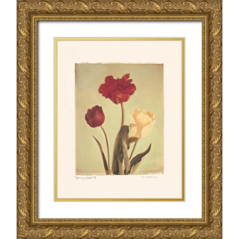 Spring Color IV Gold Ornate Wood Framed Art Print with Double Matting by Melious, Amy