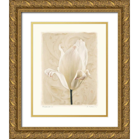 Chiaroscuro I Gold Ornate Wood Framed Art Print with Double Matting by Melious, Amy