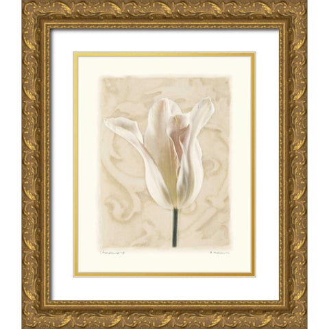 Chiaroscuro II Gold Ornate Wood Framed Art Print with Double Matting by Melious, Amy