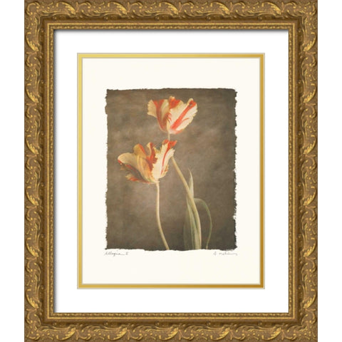 Allegria II Gold Ornate Wood Framed Art Print with Double Matting by Melious, Amy