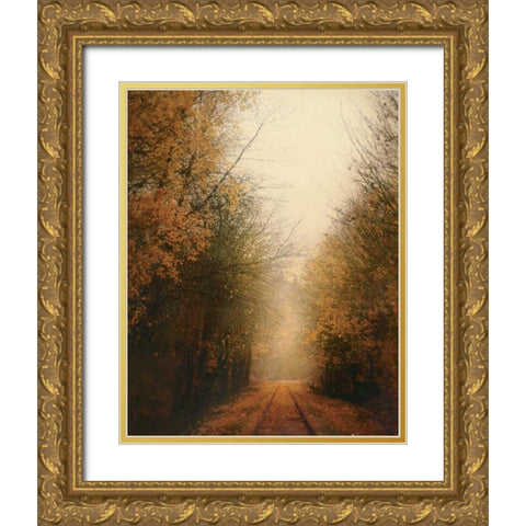 Road of Mysteries I Gold Ornate Wood Framed Art Print with Double Matting by Melious, Amy