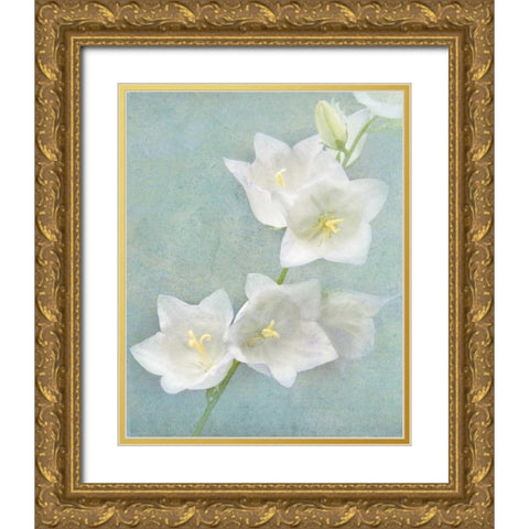Aqua Floral IV Gold Ornate Wood Framed Art Print with Double Matting by Melious, Amy