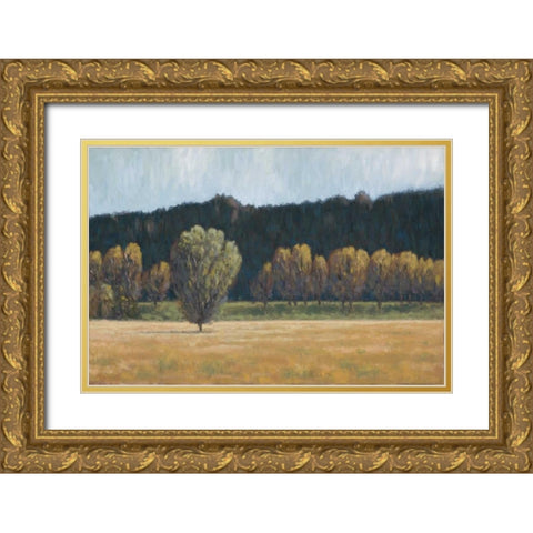 Cottonwood Country I Gold Ornate Wood Framed Art Print with Double Matting by Macnab, John