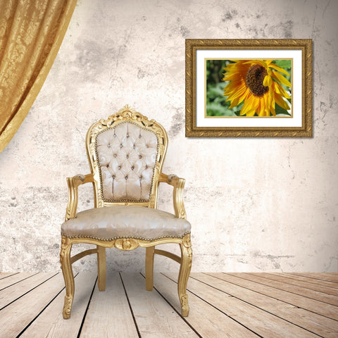 Summer Sunflowers II Gold Ornate Wood Framed Art Print with Double Matting by Williams, Alex