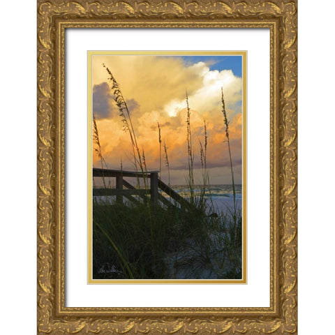 Majestic Coast I Gold Ornate Wood Framed Art Print with Double Matting by Williams, Alex