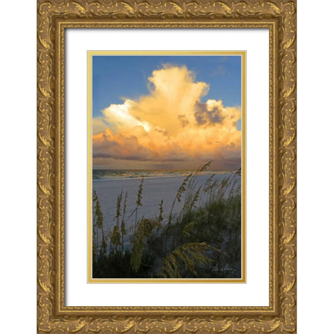 Majestic Coast II Gold Ornate Wood Framed Art Print with Double Matting by Williams, Alex