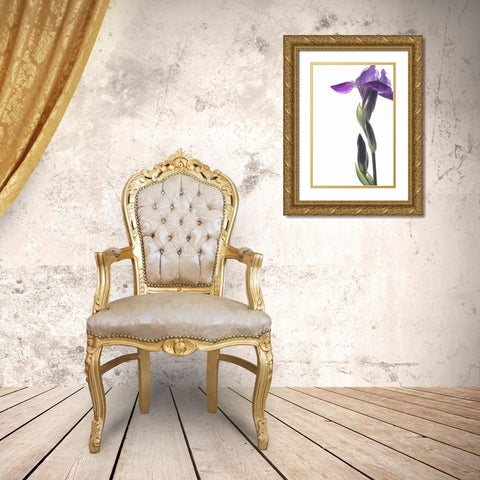 Purple Iris I Gold Ornate Wood Framed Art Print with Double Matting by Burkhart, Monika