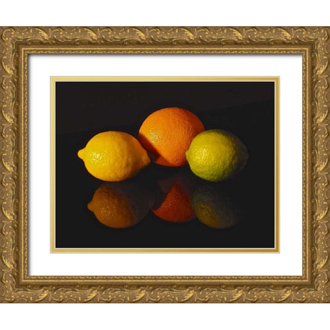 Citrus Reflections Gold Ornate Wood Framed Art Print with Double Matting by Burkhart, Monika