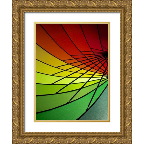 Curves of Color II Gold Ornate Wood Framed Art Print with Double Matting by Burkhart, Monika