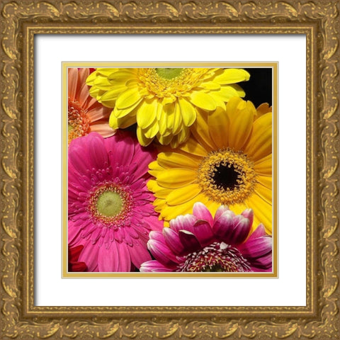 Spring Potpourri I Gold Ornate Wood Framed Art Print with Double Matting by Burkhart, Monika