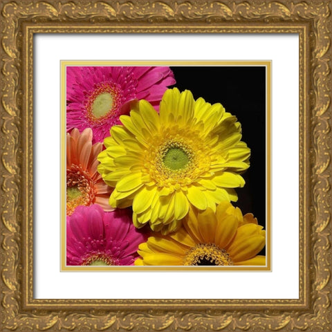 Spring Potpourri II Gold Ornate Wood Framed Art Print with Double Matting by Burkhart, Monika